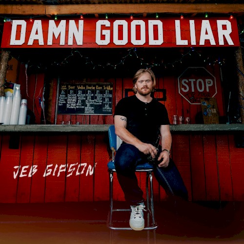 Damn Good Liar