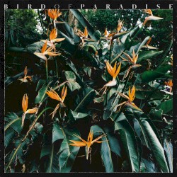 Bird of Paradise