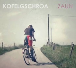 Zaun