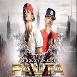 Pauta