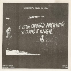 Don't Vote... Subvert Flexi
