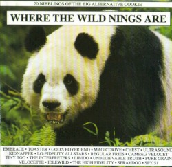 Where the Wild Nings Are