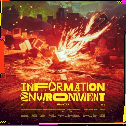INFORMATION ENVIRONMENT