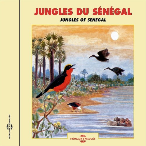 Jungles du Sénégal / Jungles of Senegal