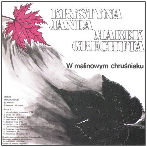 W Malinowym chruśniaku / Dancing