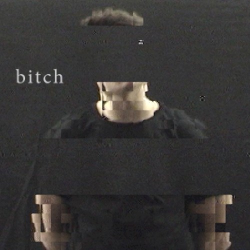 Bitch