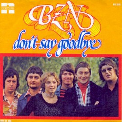 Don’t Say Goodbye