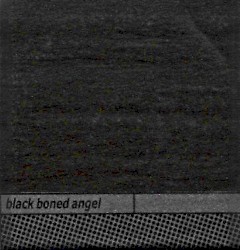 Dashed Upon Stones