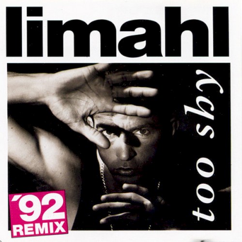 Too Shy ('92 remix)