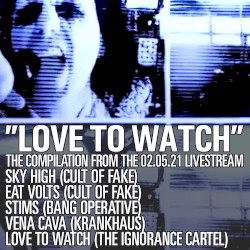 Love to Watch