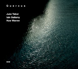 Quercus