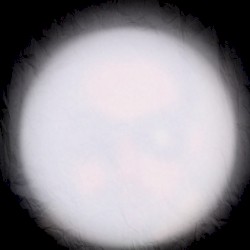 Dark Chamber