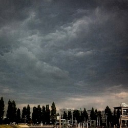Under the Dutch Sky