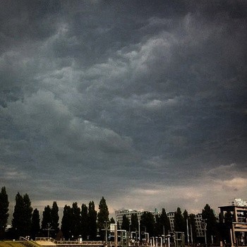 Under the Dutch Sky