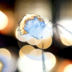 lightsintherain