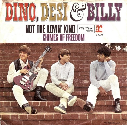 Not The Lovin' Kind