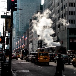 Fifth Avenue