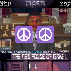 THE NEW #FLAWLESS HOUSE OF ISRAEL