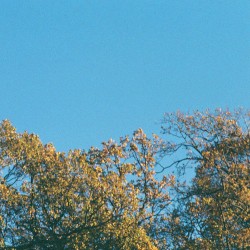 Romanticising