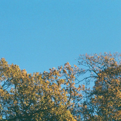 Romanticising