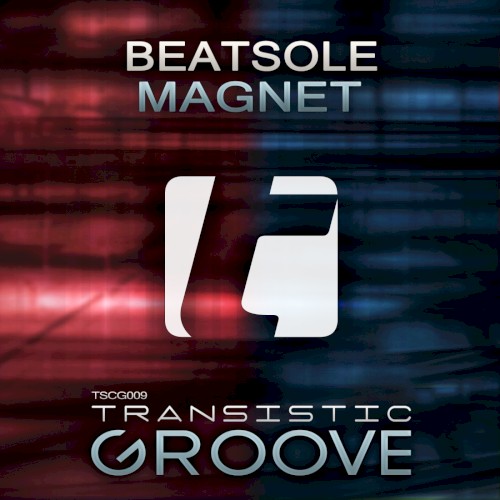 Magnet