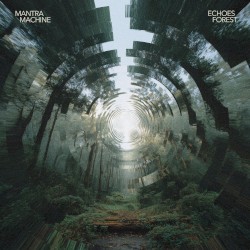 Echoes Forest