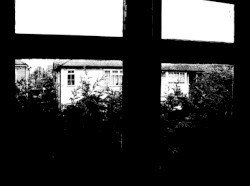 Backchat / Games