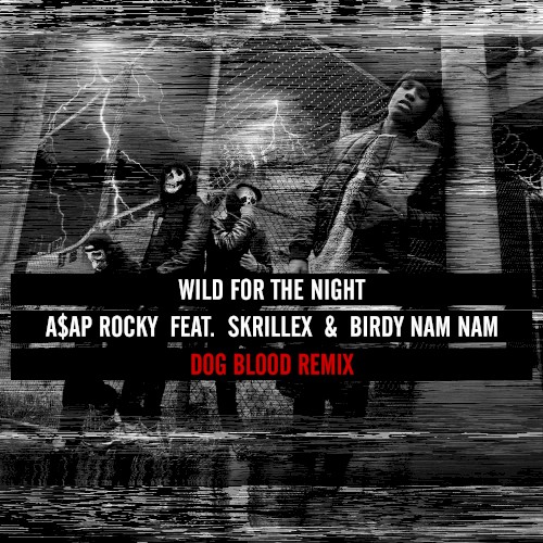 Wild for the Night (Dog Blood remix)