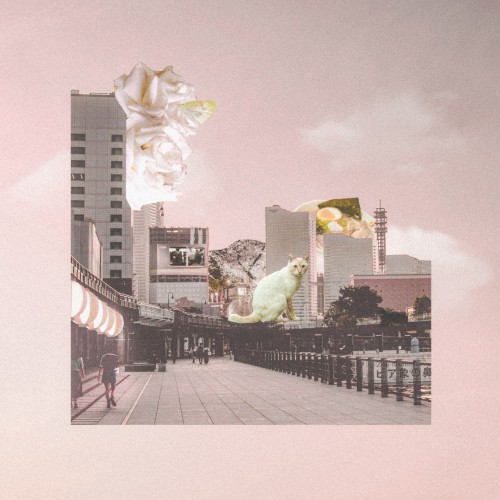 Dusk–Sunrise