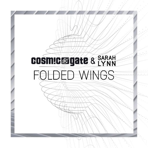 Folded Wings