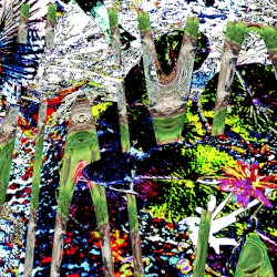 Noise 5706