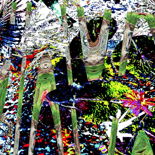 Noise 5706
