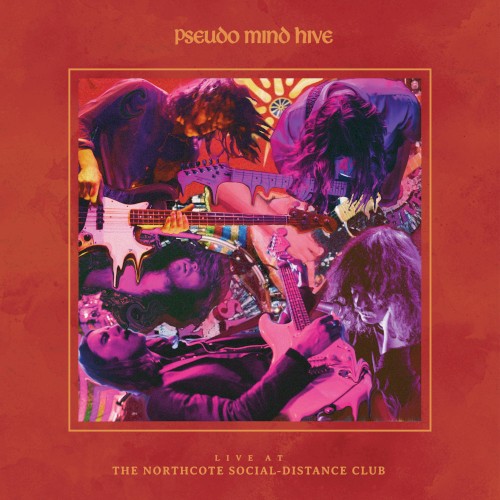 Live at the Northcote Social-Distance Club