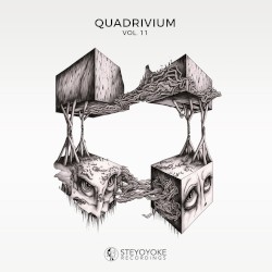 Quadrivium Vol. 11