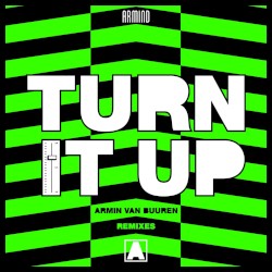 Turn It Up (remixes)