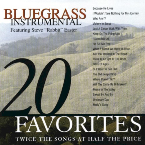 Bluegrass Instrumental: 20 Favorites