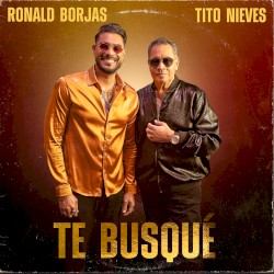 Te busqué