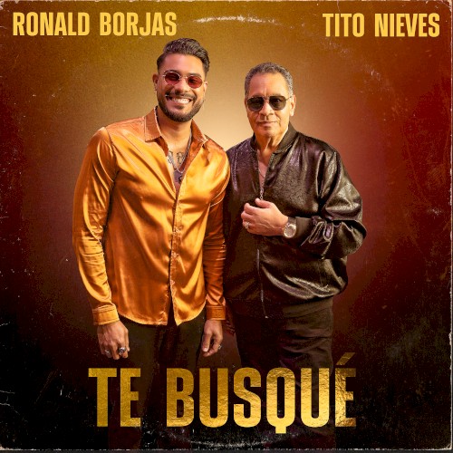 Te busqué