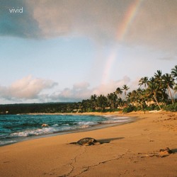 Vivid