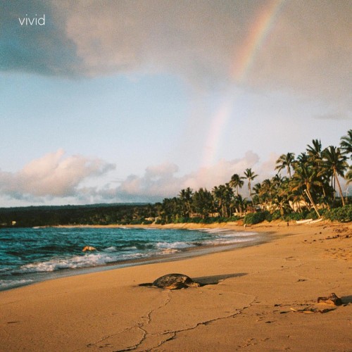 Vivid