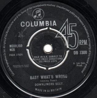 Baby What's Wrong / Be a Sect Maniac