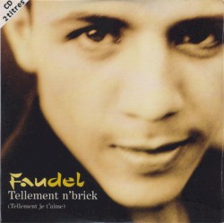 Tellement n'brick (Tellement je t'aime)