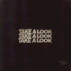 Take a Look