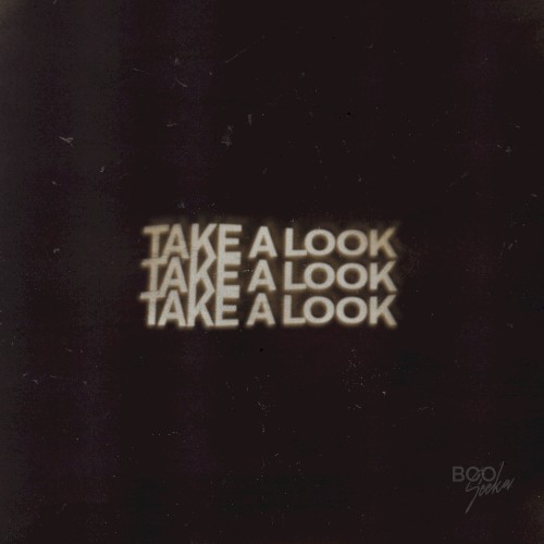 Take a Look