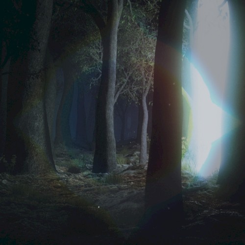 The Magic Forest
