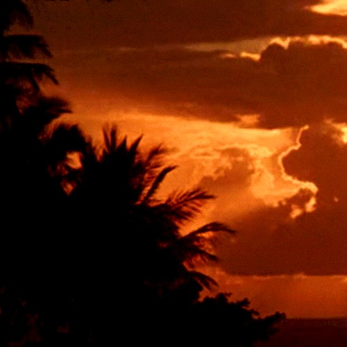 Tropical Twilight