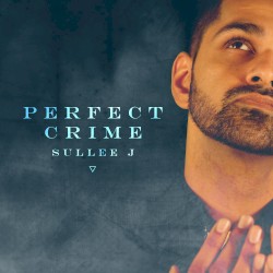 Perfect Crime