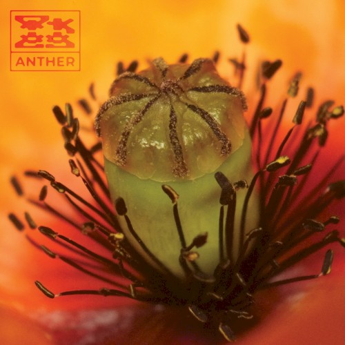 Anther