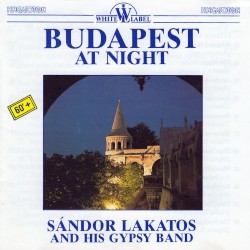 Budapest at Night