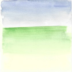 florestas